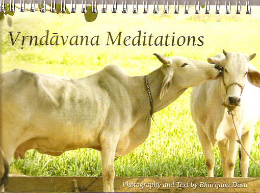 vrindavana meditations